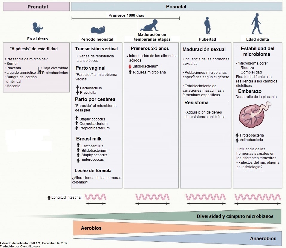 microbioma humano