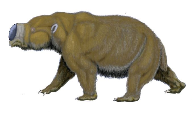 diprotodon