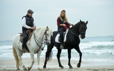 Los caballos y el hombre