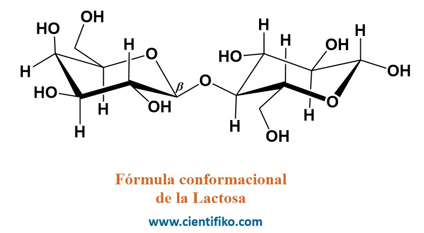 Lactosa cientifiko.com