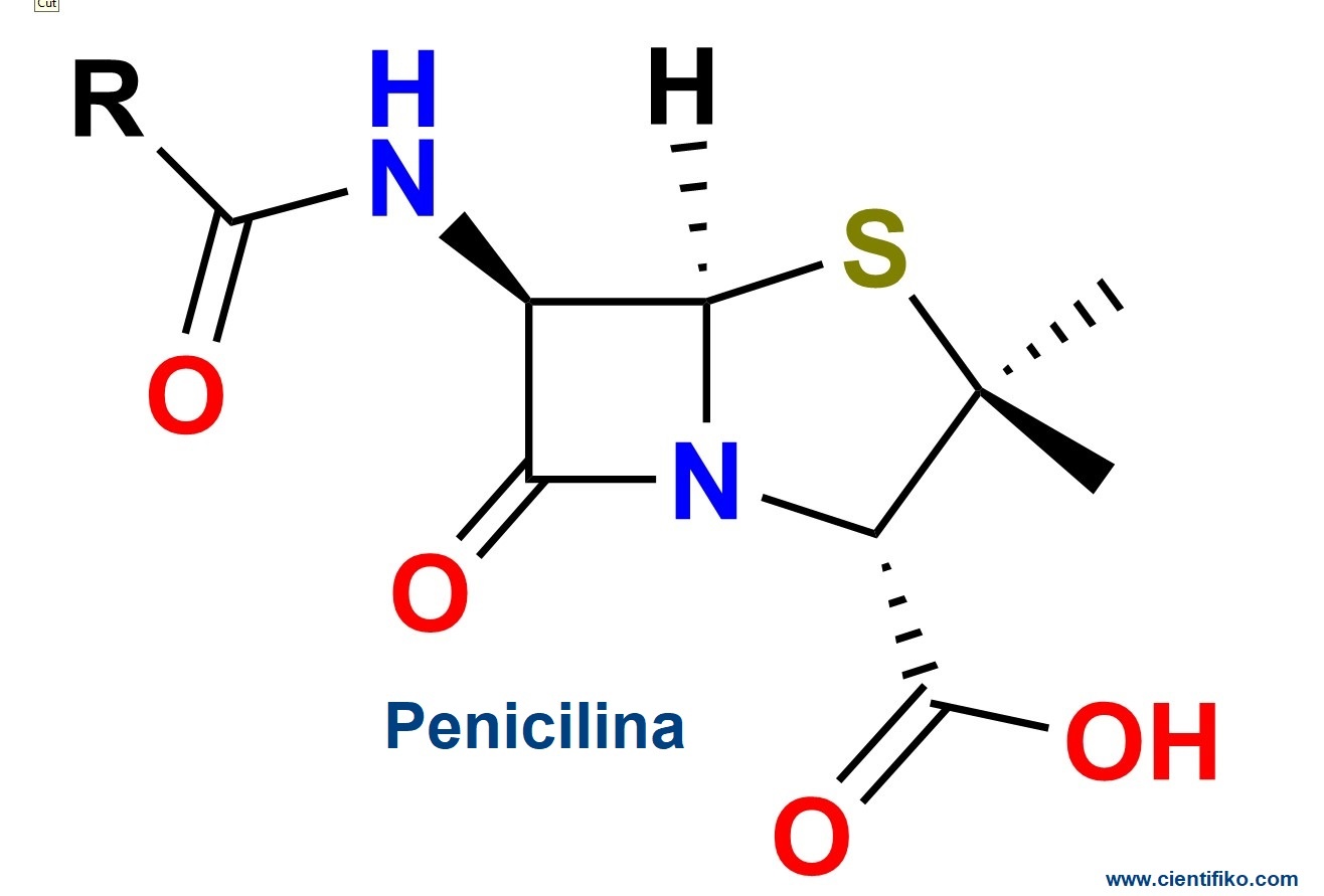 estructura de la penicillina