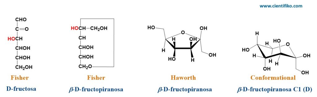 Representaciones químicas de los monosacáridos