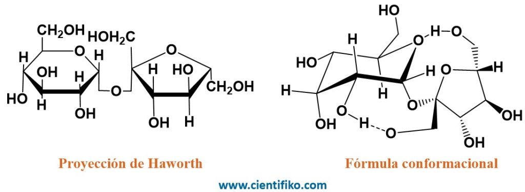 Sacarosa cientifiko
