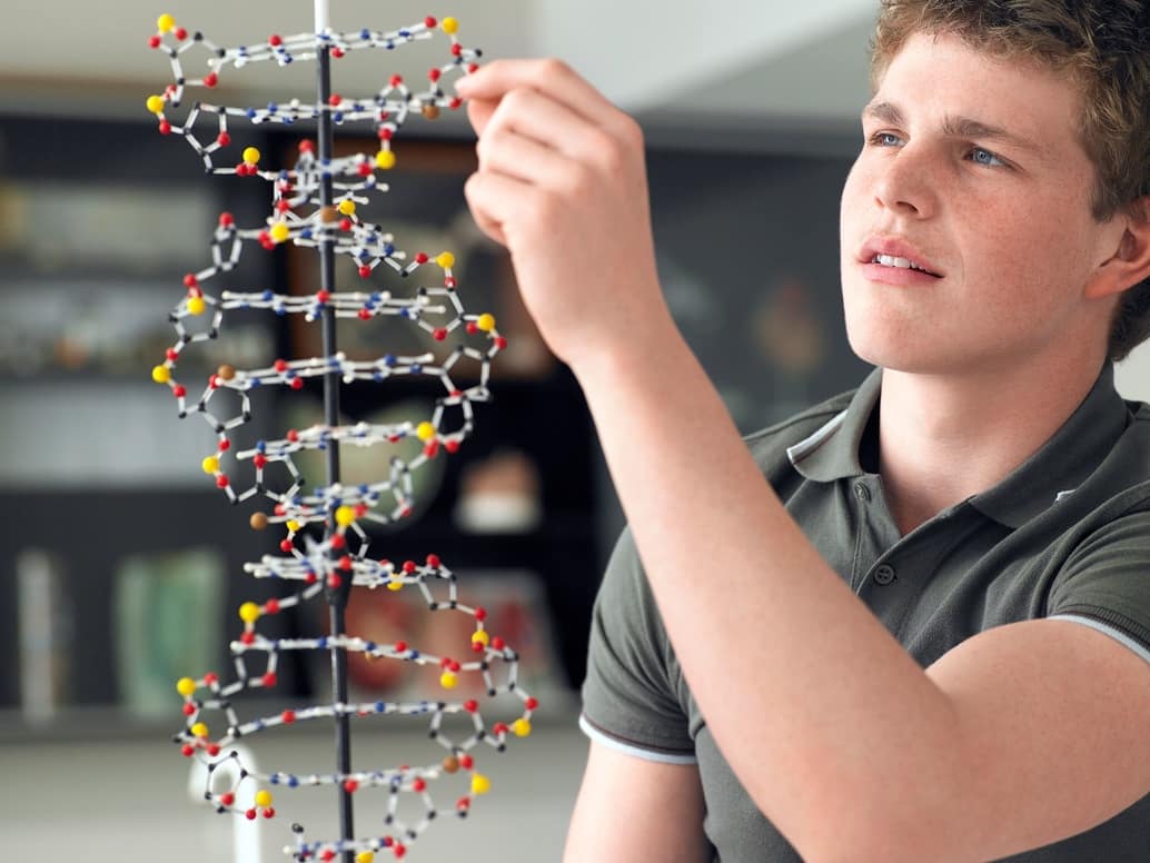 ¿Qué es el Aprendizaje Implícito?