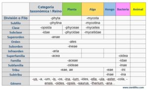 Clasificación de los seres vivos