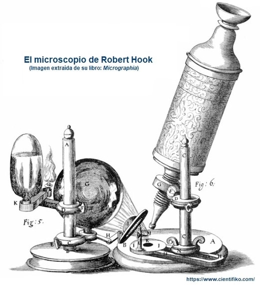 microscopio de Robert Hook
