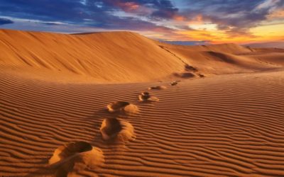 Desiertos naturales en el mundo vs desertificación