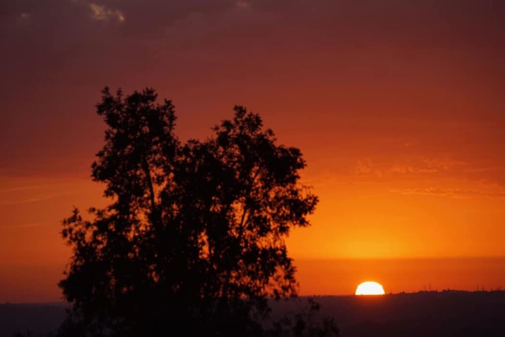 el sol cientifiko