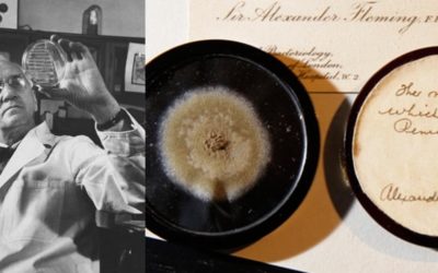 Alexander Fleming: El éxito que llegó de casualidad