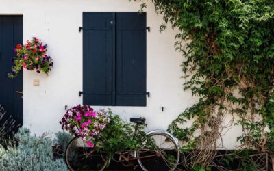 Tipos de flores: Conoce su impresionante variedad