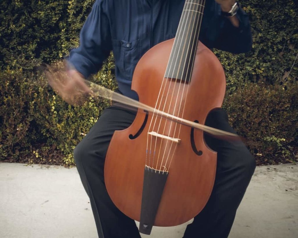 música en el renacimiento la viola