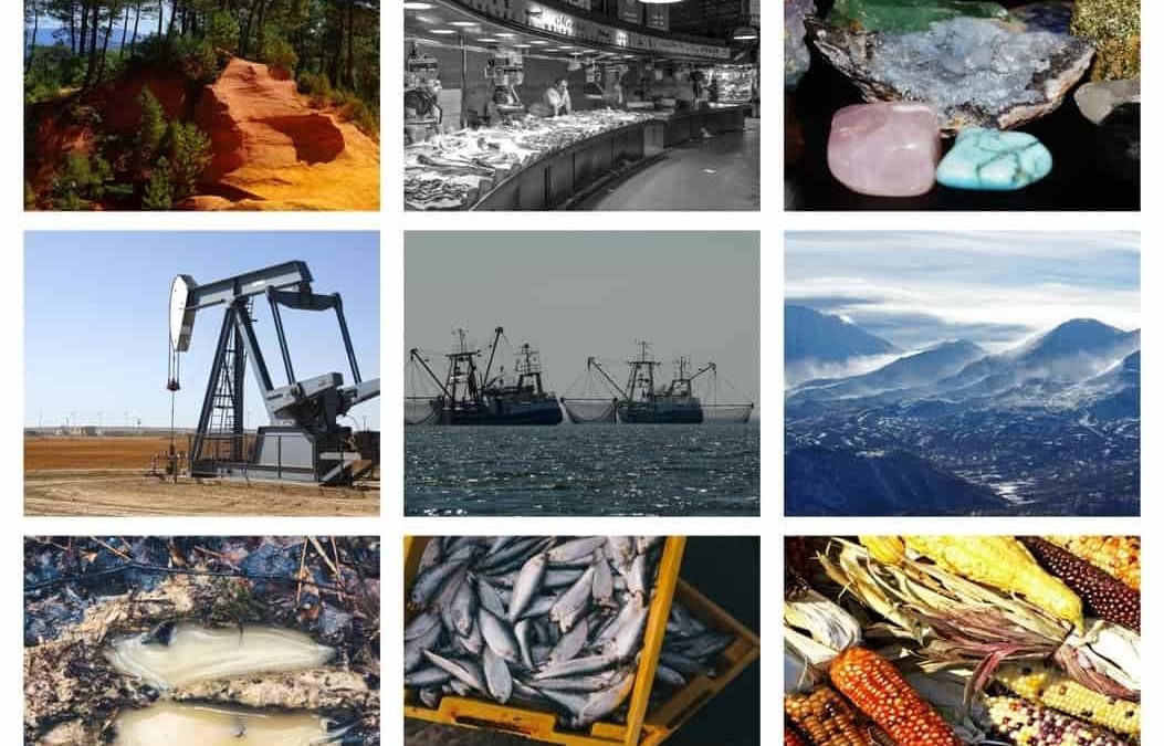 La biodiversidad: garantía de existencia