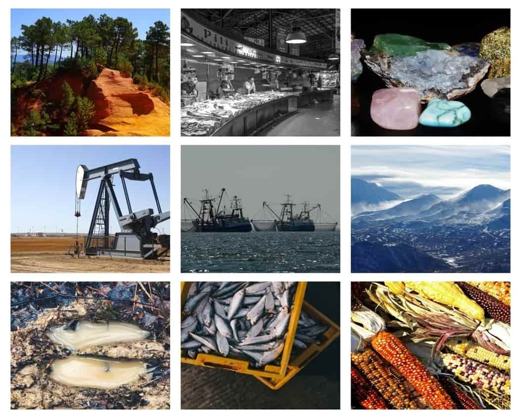 Biodiversidad