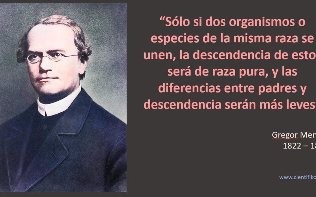 Vida, experimentos y leyes de Gregor Mendel