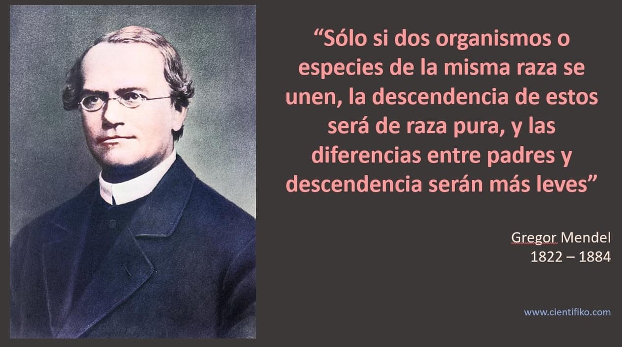 Gregor Mendel