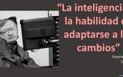 Conoce a Stephen Hawking