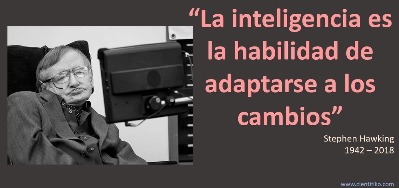 Stephen Hawking