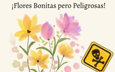 ¿Cuáles son las flores más peligrosas del mundo?