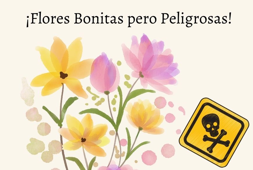 flores más peligrosas