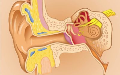 Conoce todo sobre el Síndrome de Ménière y sus posibles tratamientos