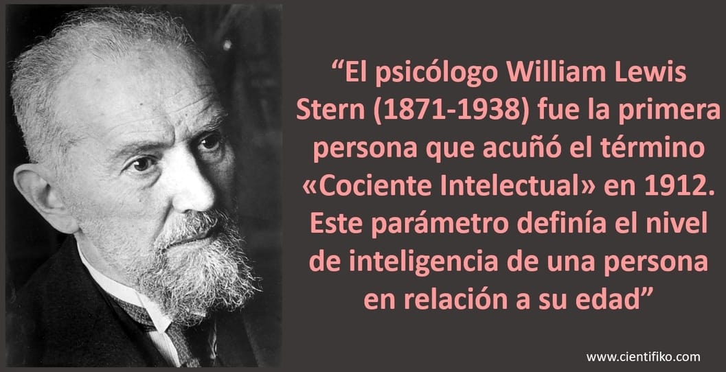 La Inteligencia según William Stern