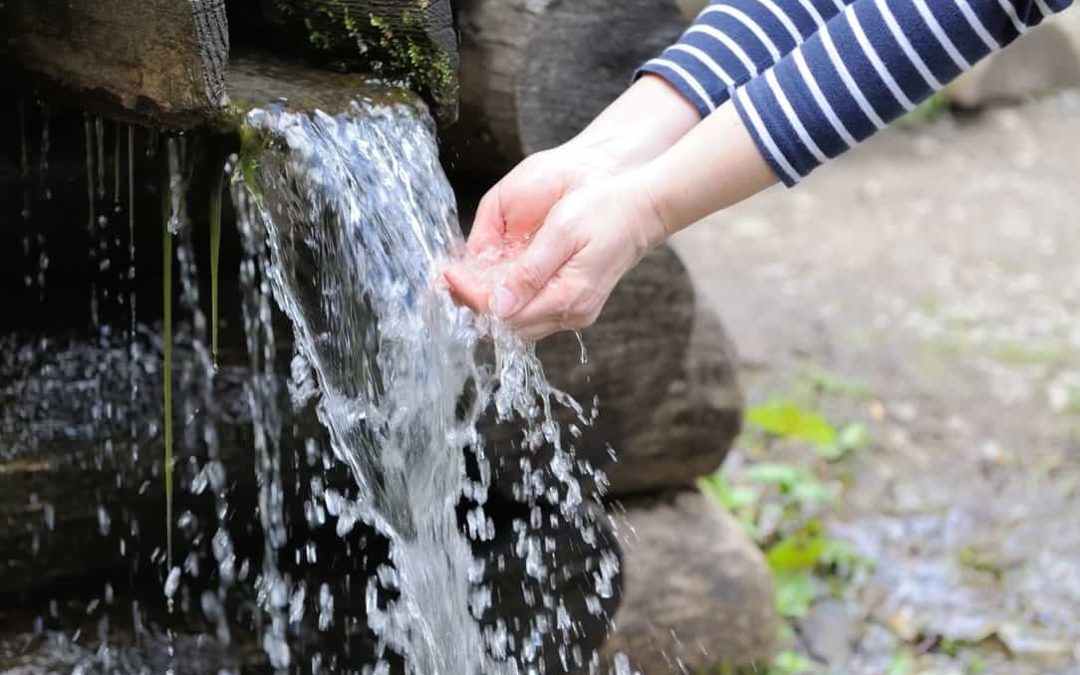 Todo lo que debes saber en relación con el agua