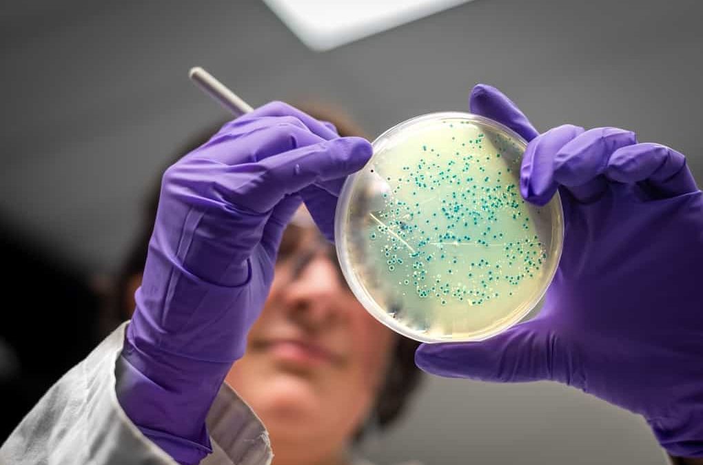 24 temas de investigación