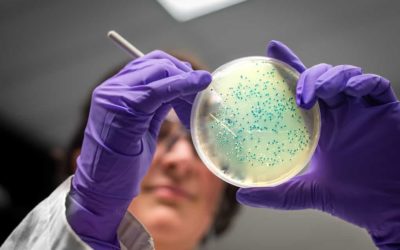 24 temas de investigación