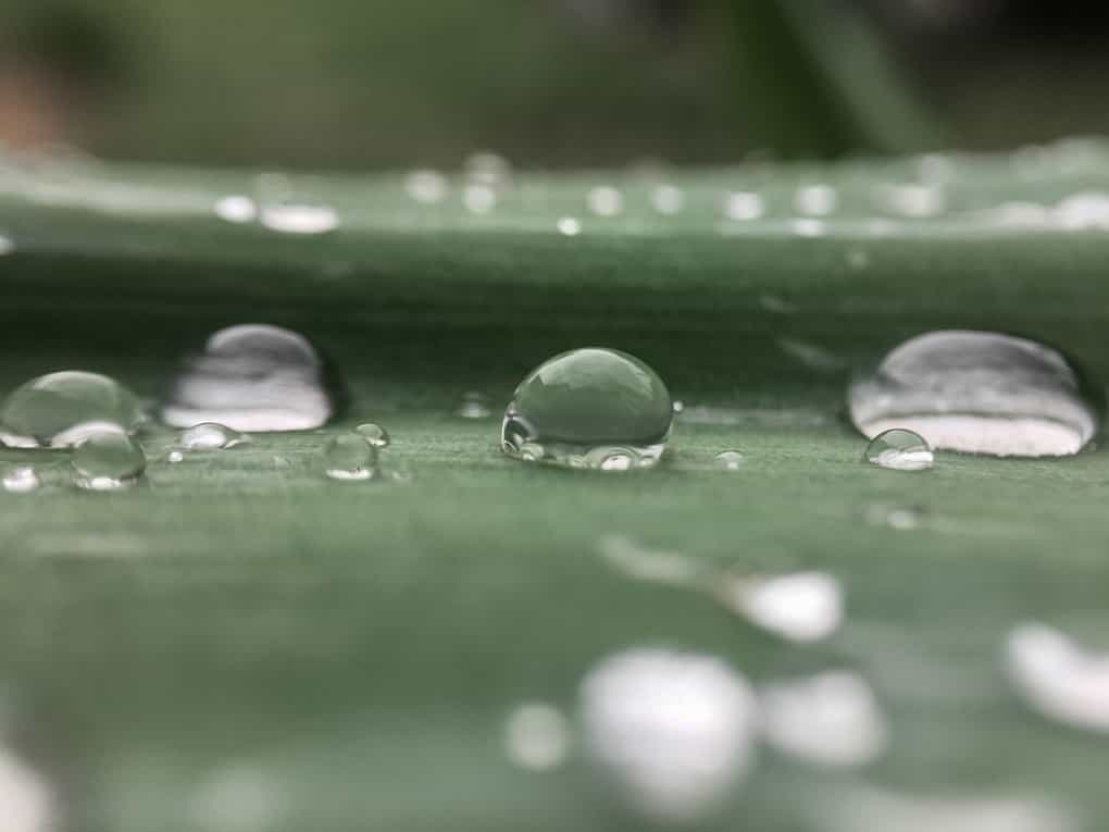 gota de agua