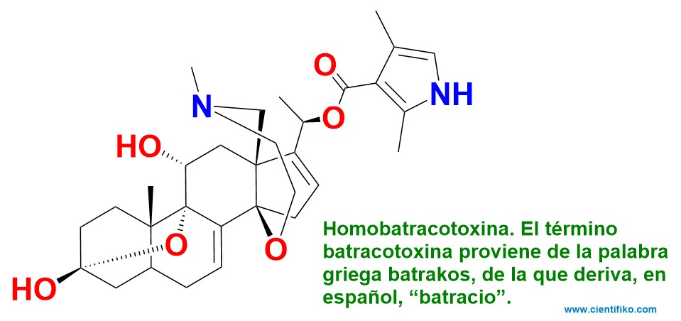 homobatracotoxina pitohui