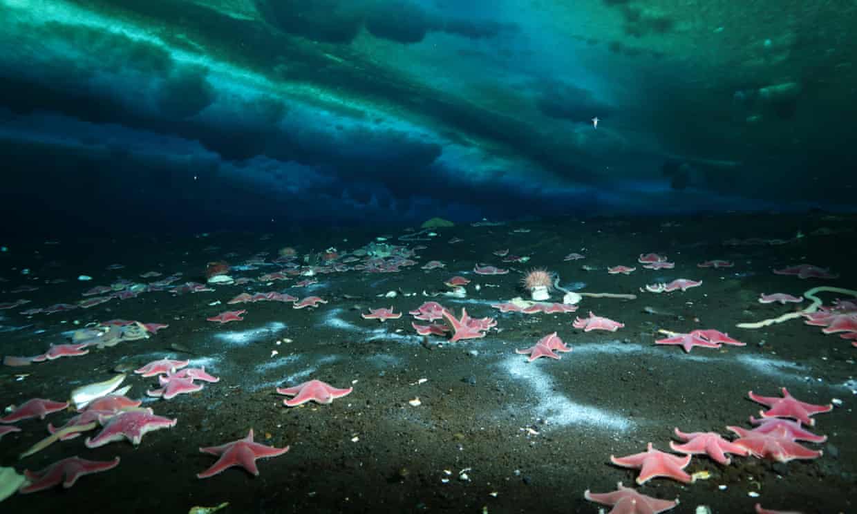 metano en el fondo del oceano