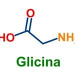 La glicina ¿Qué es y para que sirve?