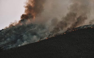 ¿Qué es la huella de carbono?